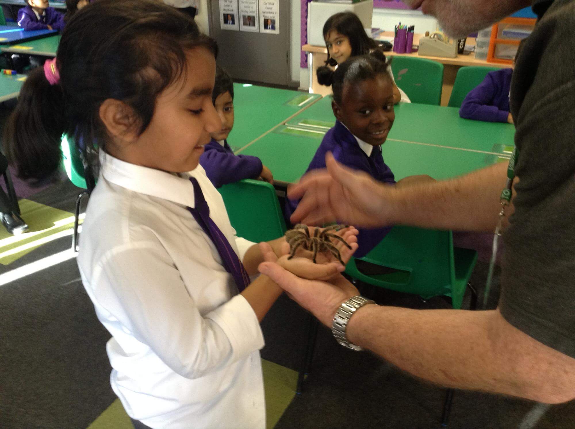 Rainforest Animal Day - Reedswood E-ACT Primary Academy